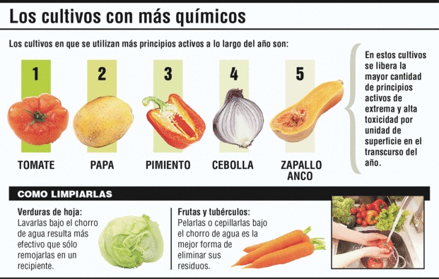 http://www.reduas.com.ar/wp-content/uploads/2015/09/alimentos-contaminados.jpg